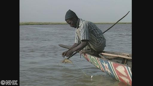 時をかけるテレビ　池上彰　人間は何を食べてきたか　サバンナの移動漁民🈕🈑