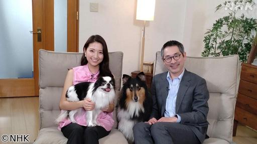 心おどる　犬ワールド　🈟（１）江戸の犬ブーム🈖🈑