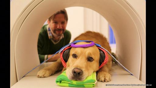 地球ドラマチック　大実験！イヌは「話せる」のか？🈔🈑