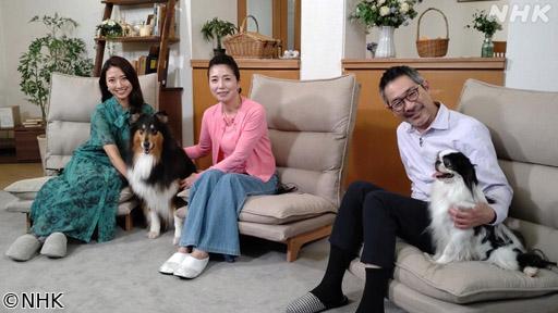 心おどる　犬ワールド　🈡（８）人と犬のハッピー社会学🈖🈑