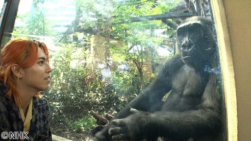 ザ・バックヤード　知の迷宮の裏側探訪　京都市動物園🈖🈑
