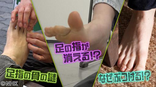 百聞はジッケンに如（し）かず（５）奇譚（きたん）！足指のミステリー🈖🈑