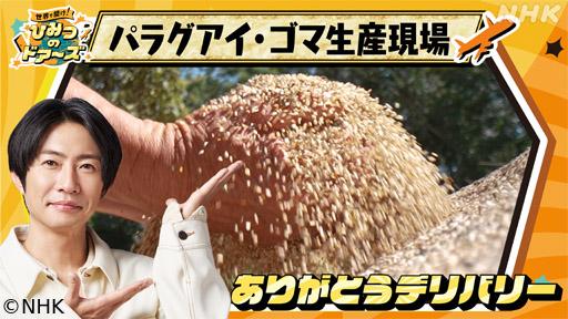 世界で開け！ひみつのドアーズ　パラグアイ・ゴマ生産者に“ありがとう”🈖🈑
