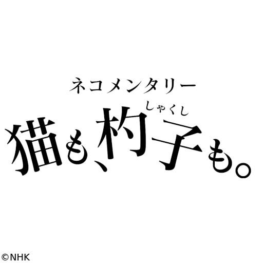 ネコメンタリー　🈡選　尾崎将也とグーとばななとロビンとダリと鏑とさくら🈖🈑