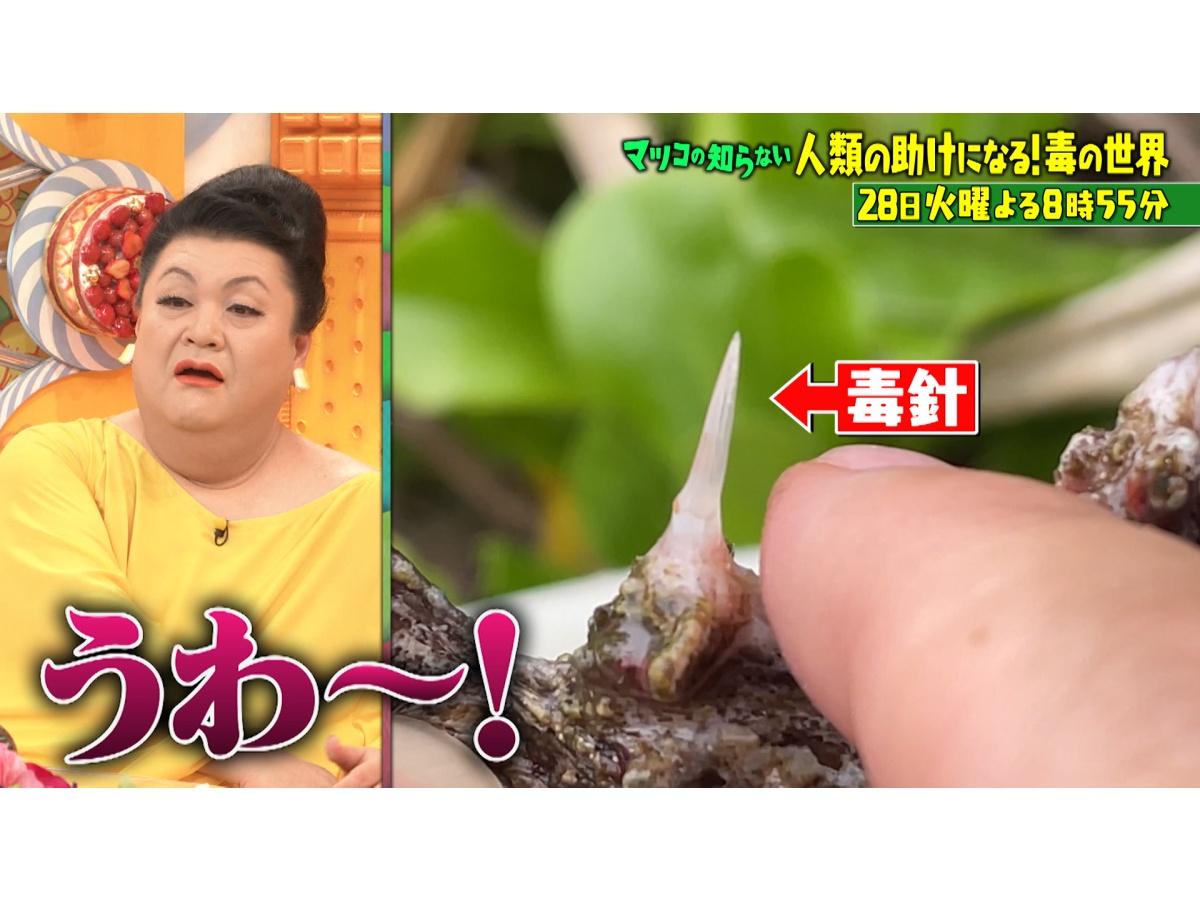 マツコの知らない世界空前の毒ブーム!アニメ&展示で超人気!人類救う新薬に禁断映像
