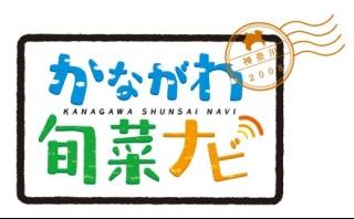 かながわ旬菜ナビ▽はだのガストロノミー　〜農×そば打ち体験〜🈞