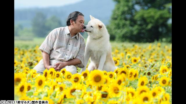 🈙星守る犬🅍🈑