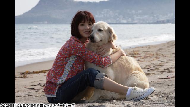 🈙犬と私の１０の約束🅍🈑