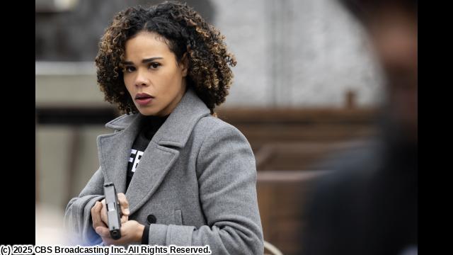 🈠ＦＢＩ：ＭｏｓｔＷａｎｔｅｄ６指名手配特捜班＜最終章＞　＃１６🈔🈑