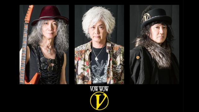 🈠ＶＯＷ　ＷＯＷ　Ｔｈｅ　４０　Ｙｅａｒｓ　ｏｆ　ＶＯＷ　ＷＯＷ　…