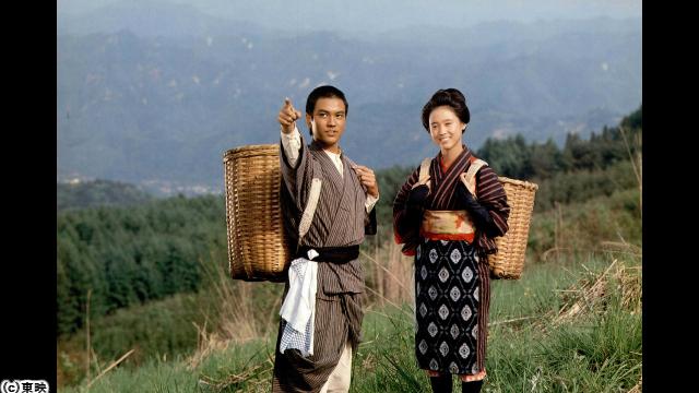 🈙野菊の墓🈑