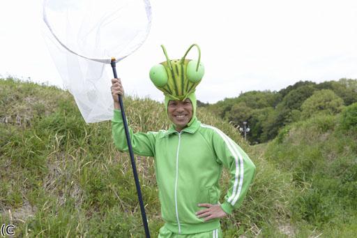 香川照之の昆虫すごいz 番組表 Gガイド 放送局公式情報満載 香川照之の昆虫すごいz 番組表 Gガイド 放送局公式情報満載