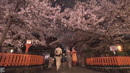 ETV特集「祇園の子〜都をどり コロナからの復活〜」🈑