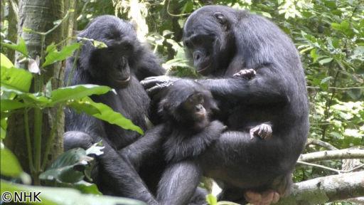はなしちゃお！ ～性と生の学問～「夏休み特集」（2）[解][字] Gガイド.テレビ王国
