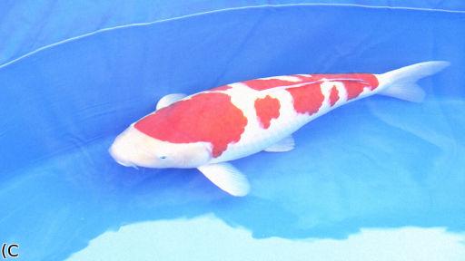 放送が終了しています番組情報