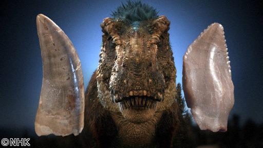 ダーウィンが来た！「恐竜研究ホットスポット日本！」[解][字] Gガイド.テレビ王国