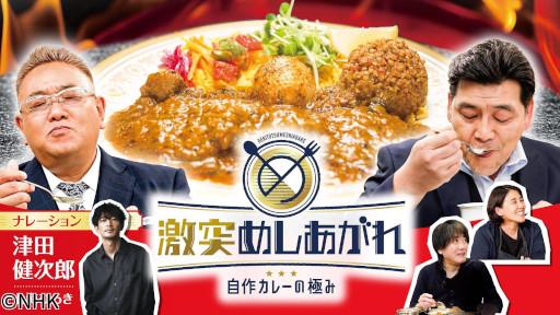 激突めしあがれ　自作カレーの極み