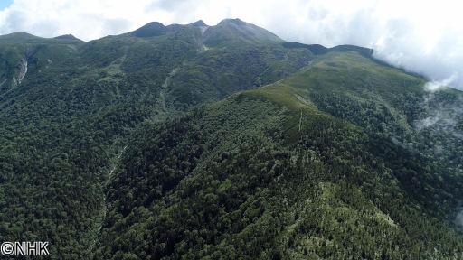 にっぽん百名山“馬の鞍（くら）”への信仰の道〜乗鞍岳〜🈑