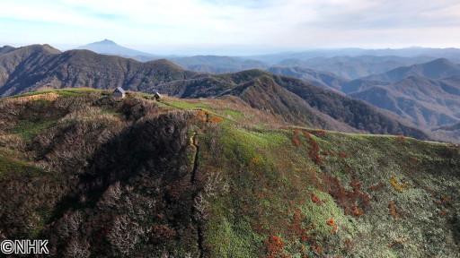 にっぽん百名山　色づくブナの天然林へ〜白神山地〜🈑