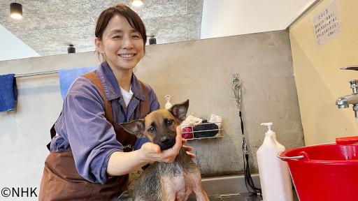 石田ゆり子　世界の犬と猫を抱きしめる　台湾編🈑