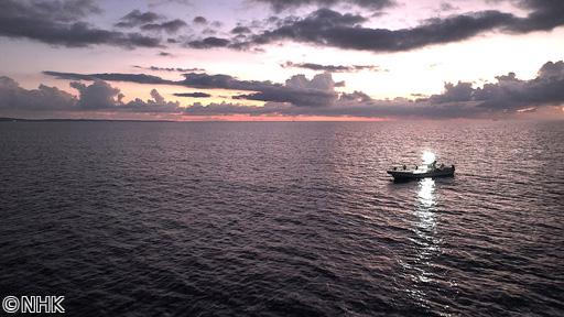 釣りびと万歳　不屈の心でオキナワオオタチに挑め〜具志堅用高　沖縄・本部町〜🈑