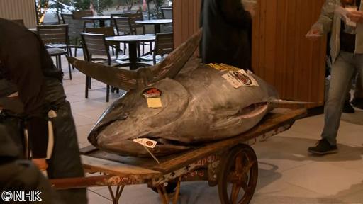 所さん！事件ですよ　高級マグロが捨てられている！？マグロ最新事情🈑