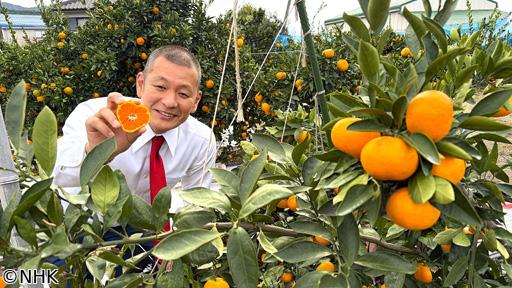 ザ・穴場ツアー　ＣＡＴＶネットワーク「美味を求めて　西へ西へ！」🈑