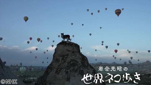 岩合光昭の世界ネコ歩き　カッパドキア〜トルコ〜🈑