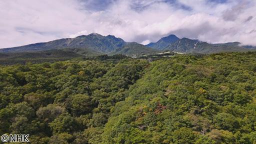 ジオ・ジャパン　絶景１００の旅　八ヶ岳🈑