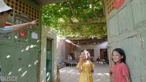 🆞地球鉄道（２６）新疆ウイグル　ブドウのオアシス！猛者の草原！🈖🈑