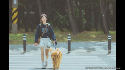 マイ・ラブリー・ジャーニー（４）「願いを言って、ジニ」🈔🈑