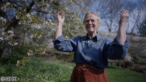 魔法の庭　ダルメイン〜再発見　命のつながり〜🈑