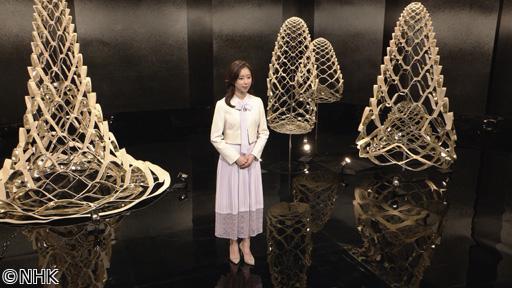 古典芸能への招待　歌舞伎「義経千本桜」吉野山　四ノ切🈕🈑