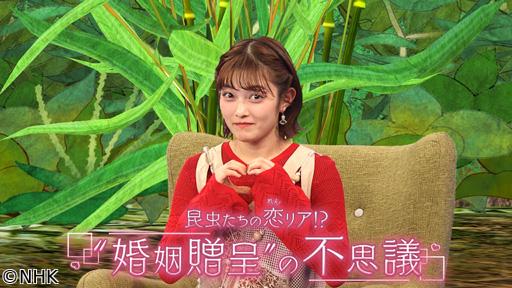 サイエンスＺＥＲＯ　昆虫たちの恋リア！？“婚姻贈呈”の不思議🈖🈑