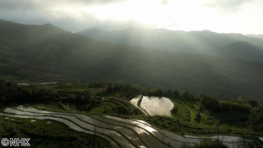 ワイルドライフ　スペシャル　国際共同制作　台湾　里山〜人と生きものの記憶〜🅍🅂🈑
