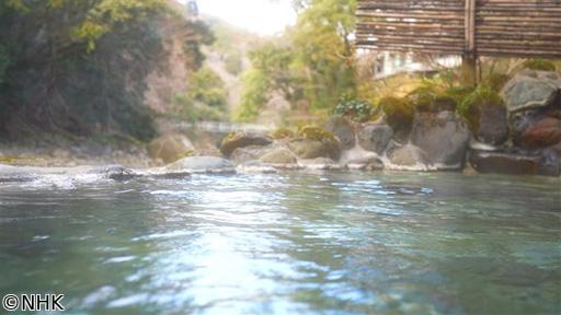 ゆったり温泉ひとり旅　海と里　湯気立つ　南関東・伊豆編🈑