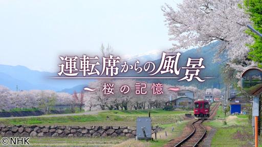 運転席からの風景　桜の記憶🈑