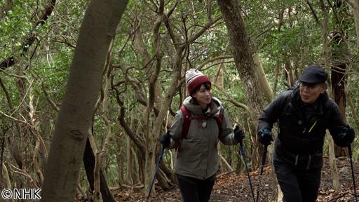 にっぽん百低山「竜王山・山口」🈑