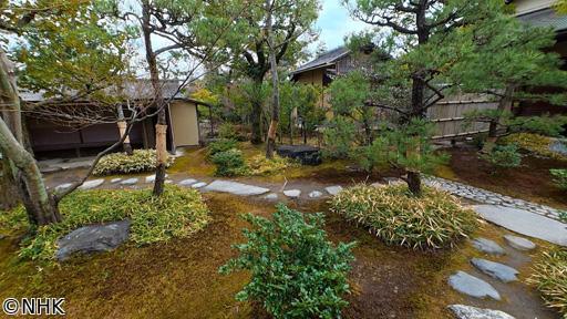 村雨さんと日本庭園たしなみ巡り　有楽苑🈖🈑