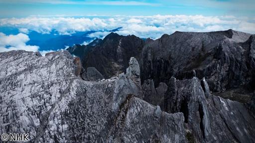 地球（アース）トラベラー　ボルネオ“死者の谷”に挑む　マレーシア・キナバル山🈑