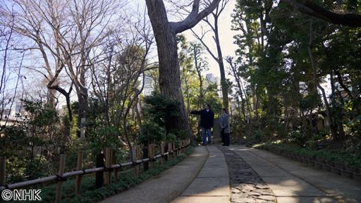 村雨さんと日本庭園たしなみ巡り　荏原　畠山美術館🈖🈑