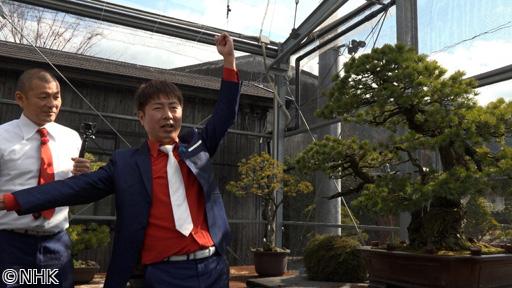 ザ・穴場ツアー　ＣＡＴＶネットワーク　愛媛県（２）「やまじ風　編」🈑