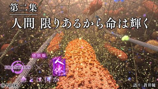 フロンティア　選　人体　特別版　第二集　人間　限りあるから命は輝く🈖🈑