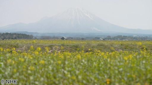 新日本風土記「鳥取いちばん物語」🈑