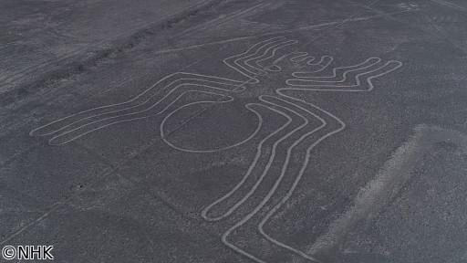 はるかなる古代文明　ＡＩで謎に迫る！　ナスカの地上絵🈑🈞