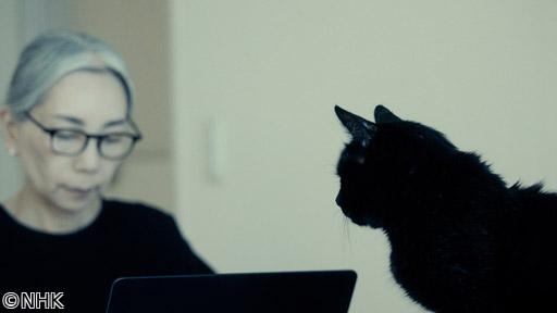ネコメンタリー　猫も、杓子（しゃくし）も。　🈟　広瀬裕子とあめ🈖🈑