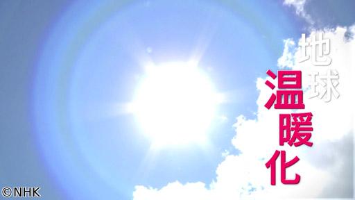 真相の館　🈟　地球温暖化の真相🈑