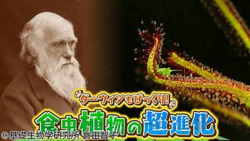 サイエンスＺＥＲＯ　ダーウィンもびっくり！“食虫植物”の超進化🈖🈑