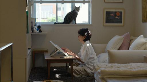ネコメンタリー 猫も、杓子（しゃくし）も。 - 番組表.Gガイド[放送局