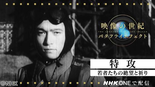 映像の世紀バタフライエフェクト　特攻　若者たちの絶望と祈り🈑